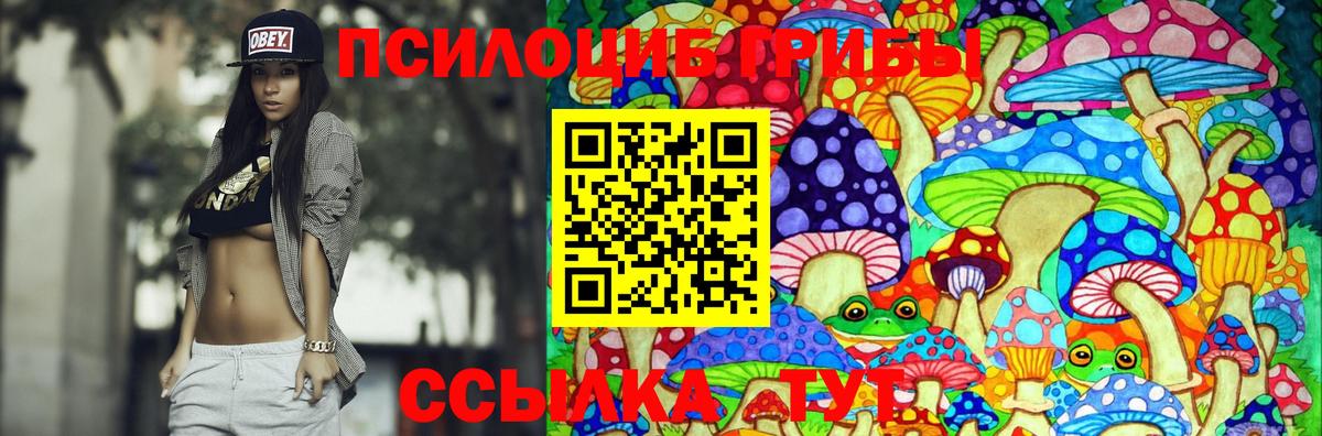 Псилоцибиновые грибы MAGIC MUSHROOMS  Псилоцибиновые грибы Magic Shrooms  дарнет шоп  Михайловск  Вход с VPN 