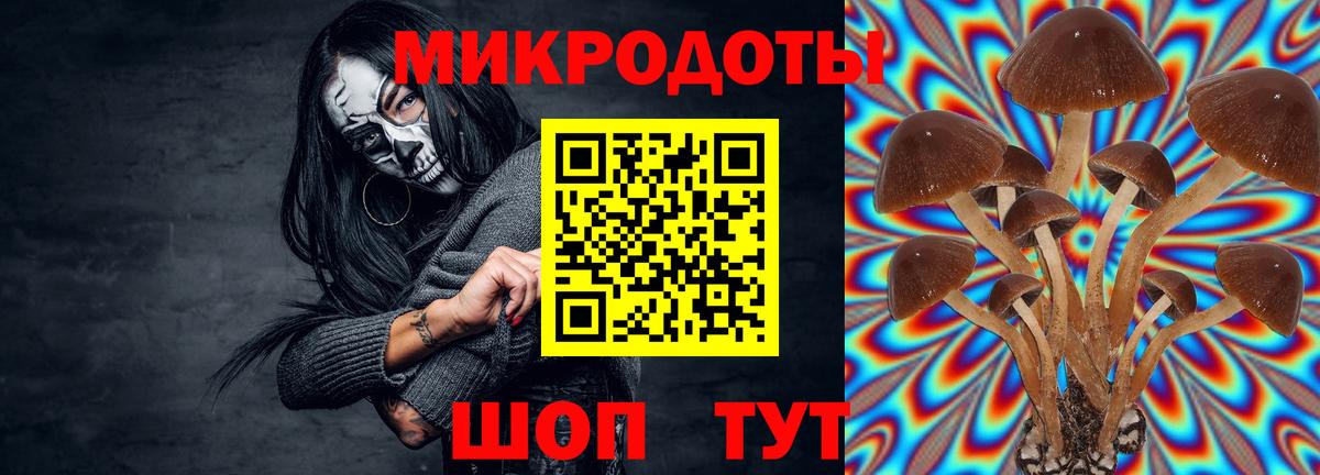 Псилоцибиновые грибы ЛСД Михайловск